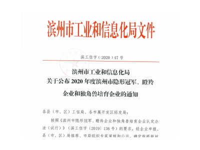 滨州市“瞪羚企业”、“隐形凯发天生赢家一触即发首页,凯发国际天生赢家,凯发官网首页企业”